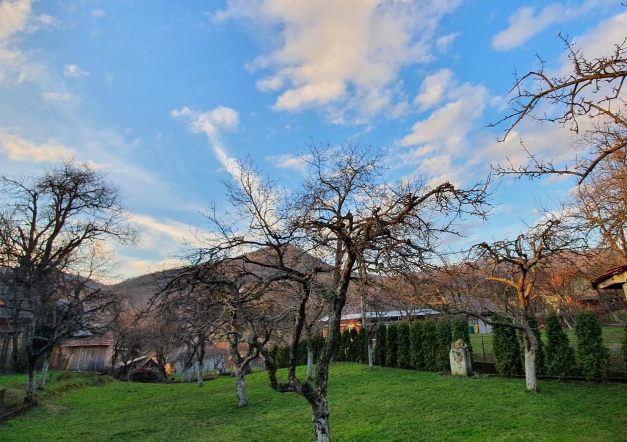 Casa Mea De Vacanta Baia-Sprie Exterior foto
