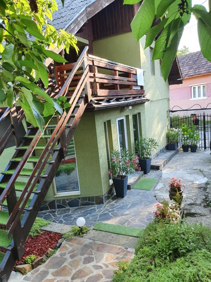 Casa Mea De Vacanta Baia-Sprie Exterior foto